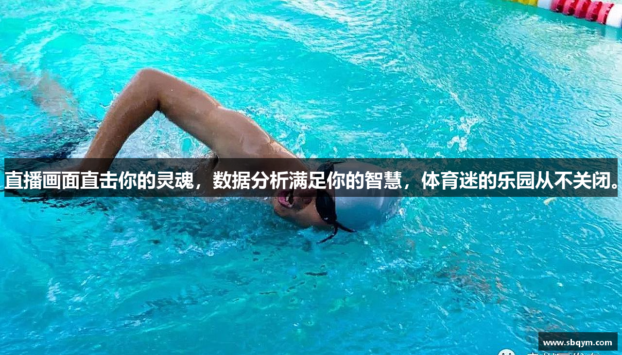 hthvip华体会